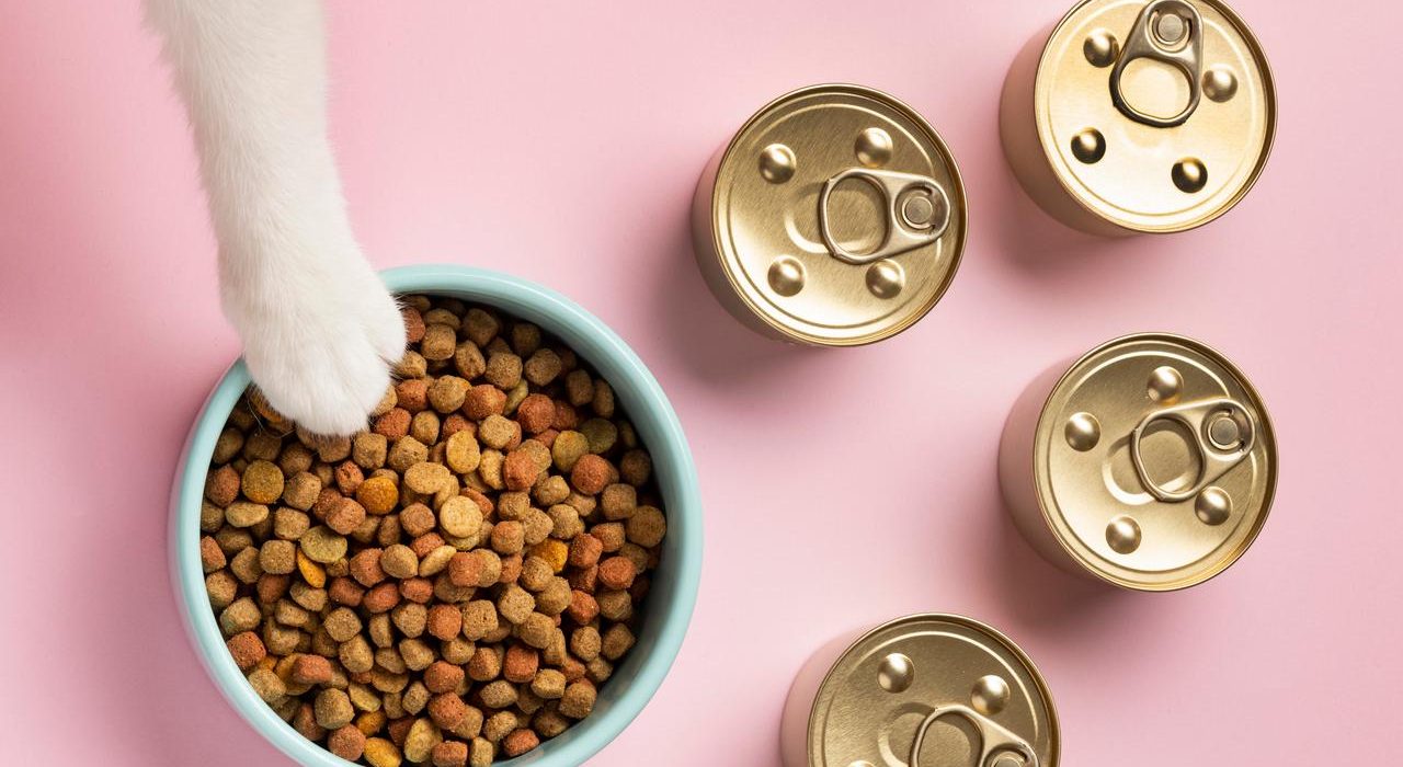 Puszki dla kota z karmą – czy to najlepszy wybór?